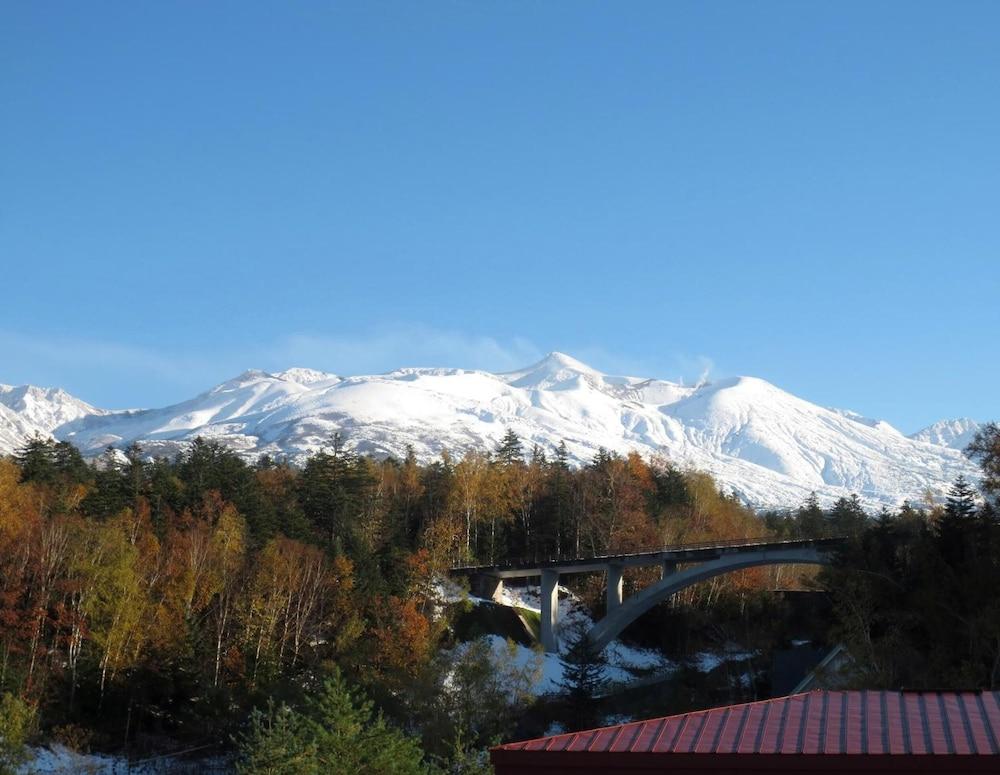 大雪山白金観光ホテル 旅館 3*